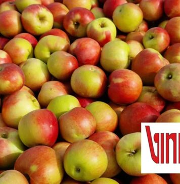 Osatina grupa preuzela Vinku plus