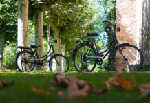 Besplatna registracija bicikala u Virovitici