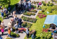 U Osijeku se za vikend održava Festival cvijeća i drveća