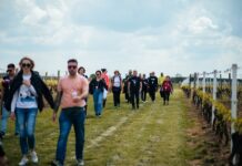 Ilok Wine & Walk: Praznik rada provedite na jednom od ljepših eno-gastro događaja u Hrvatskoj