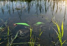 Izgubio kontrolu nad motociklom i sletio u kanal pun vode, hitno prevezen u KBC Osijek