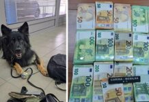 Službeni pas u ruksaku vozača pronašao više od 15 tisuća eura