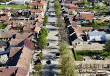 Grad Vinkovci zasaditi će 22 stabla lipe i 17 stabala kestena u Zvonimirovoj ulici