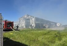 Požar progutao halu sa sušarama za kamilicu kod Slatine