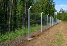 Kopački rit dobiva zaštitnu ogradu od 53 kilometra zbog afričke svinjske kuge