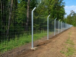 Kopački rit dobiva zaštitnu ogradu od 53 kilometra zbog afričke svinjske kuge