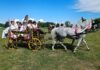 Konji bijelci ponovno stižu u Babinu Gredu: Dva dana tradicije, zaprega i konjogojstva