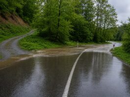 Zbog izlijevanja Orljave zatvorena važna državna cesta u Požeško-slavonskoj županiji