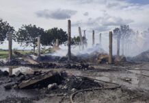 Požar hale na farmi u Podolju jučer gasio 41 vatrogasac, intervencija završila u 22:10 sati