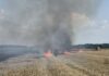 Prilikom žetve iskra s kombajna zapalila pšenicu: izgorjelo oko osam hektara