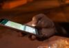 Prošao “Chat Control”: EU vraća pravila za nadzor poruka, kritičari upozoravaju na masovno skeniranje komunikacije