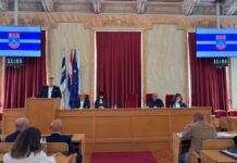 Zbog afričke svinjske kuge stižu stroži nadzori, kontrolni punktovi i dodatne kontrole na granicama