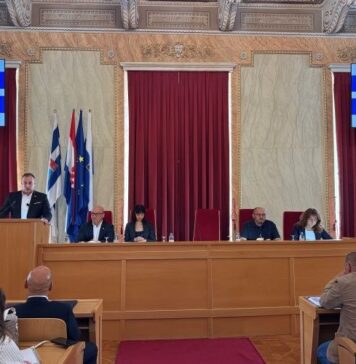 Zbog afričke svinjske kuge stižu stroži nadzori, kontrolni punktovi i dodatne kontrole na granicama