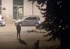 Maloljetnik osumnjičen za teško ozljeđivanje 31-godišnjaka u Slavonskom Brodu
