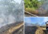 Veliki požar kod repetitora na Dalj planini gasilo 19 vatrogasaca