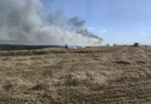 Požar kod Petrove Slatine izazvala balirka, šteta veća od 50.000 eura