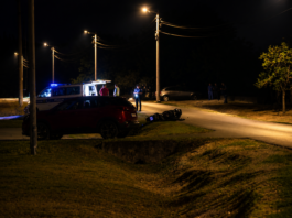 Otkriven uzrok tragedije: Motociklom pregazio zeca, izgubio nadzor i udario u stup