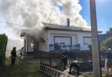 Brenerom palio gnijezdo osa pa zapalio obiteljsku kuću