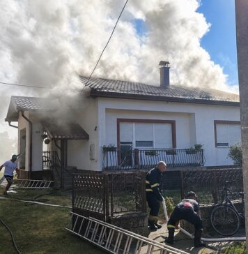 Brenerom palio gnijezdo osa pa zapalio obiteljsku kuću