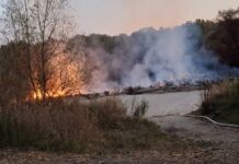 Veliki požar na kupalištu Nova Drava: Kampisti prvi krenuli gasiti požar, osoba koja ju je izazvala ponašala se agresivno
