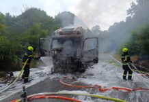 U Slavoniji se zapalio kamion, vatra zahvatila šumu i zaprijetila prikolici punoj tereta