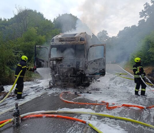 U Slavoniji se zapalio kamion, vatra zahvatila šumu i zaprijetila prikolici punoj tereta