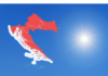 Cijela Hrvatska u crvenom: Na istoku temperature iznad 39 stupnjeva