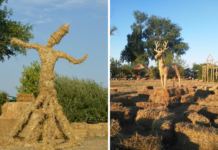 Jubilarni 20. SLAMA Land Art Festival u nedjelju okuplja umjetnike i posjetitelje u Baranji