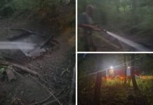 Lijepa gesta vatrogasaca: Divljači u šumi dostavili prijeko potrebnu vodu