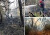 Danas se ponovno rasplamsao požar kod Iloka: Gorjelo deset hektara šume, angažirano 30 vatrogasaca