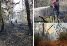 Danas se ponovno rasplamsao požar kod Iloka: Gorjelo deset hektara šume, angažirano 30 vatrogasaca
