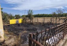 Požar zahvatio oko 450 četvornih metara, vatra prijetila kući i pomoćnim objektima