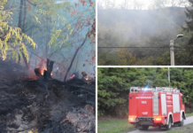 Gorjela šuma u Baranji: Na strmom i teško pristupačnom terenu interveniralo 26 vatrogasaca