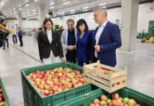 Velik interes proizvođača za RDC: Ugovoreno skladištenje 3.090 tona voća i povrća