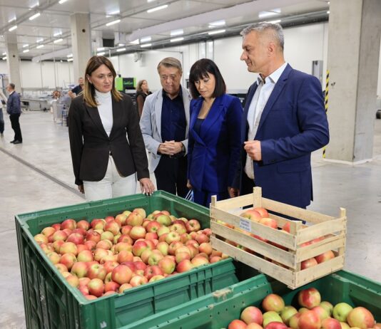 Velik interes proizvođača za RDC: Ugovoreno skladištenje 3.090 tona voća i povrća