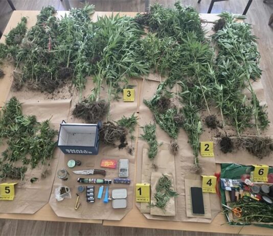 Policija kod 42-godišnjaka pronašla 34 stabljike indijske konoplje i marihuanu