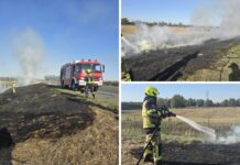 Požar uz autocestu A3: Gorjela suha trava i raslinje