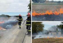Građani na vrijeme uočili požar, vatrogasci brzo spriječili širenje vatre