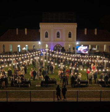 Dunav Wine Festival vraća se na Principovac: Treće izdanje donosi vina, gastronomiju i glazbu