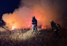 Požar na poljoprivrednoj površini: Za gašenje utrošeno 13.000 litara vode