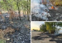 Palili smeće pa izazvali požar u Baranji, vatra se širila prema kućama i objektima